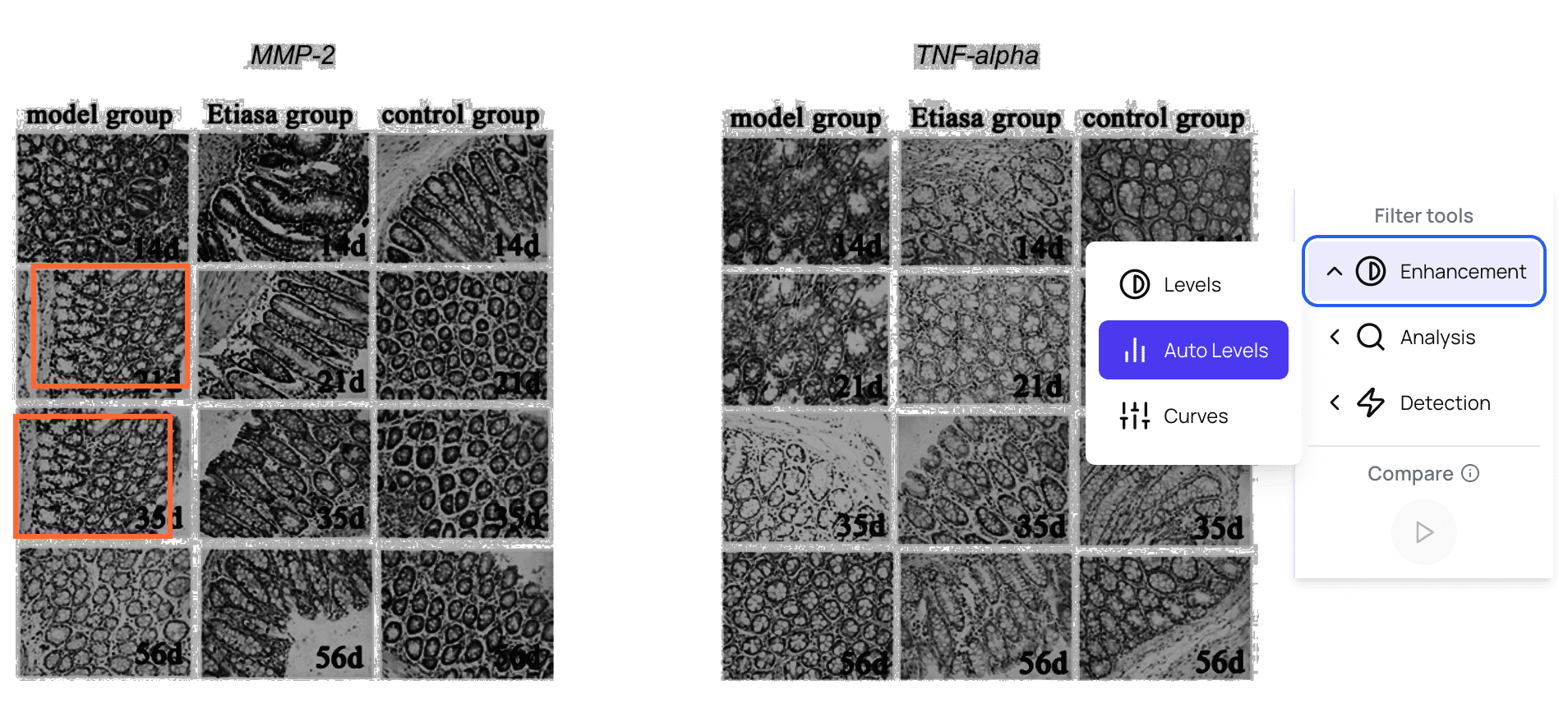 Detailed image analysis with filters
