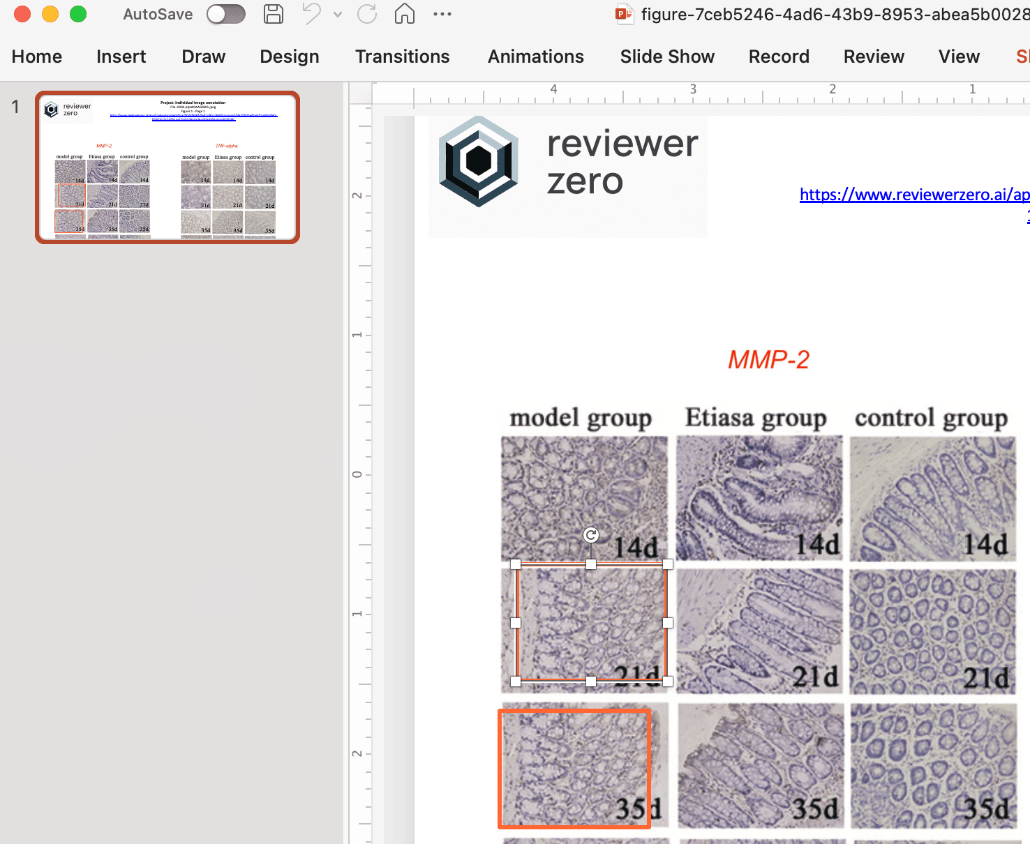PowerPoint export with annotations