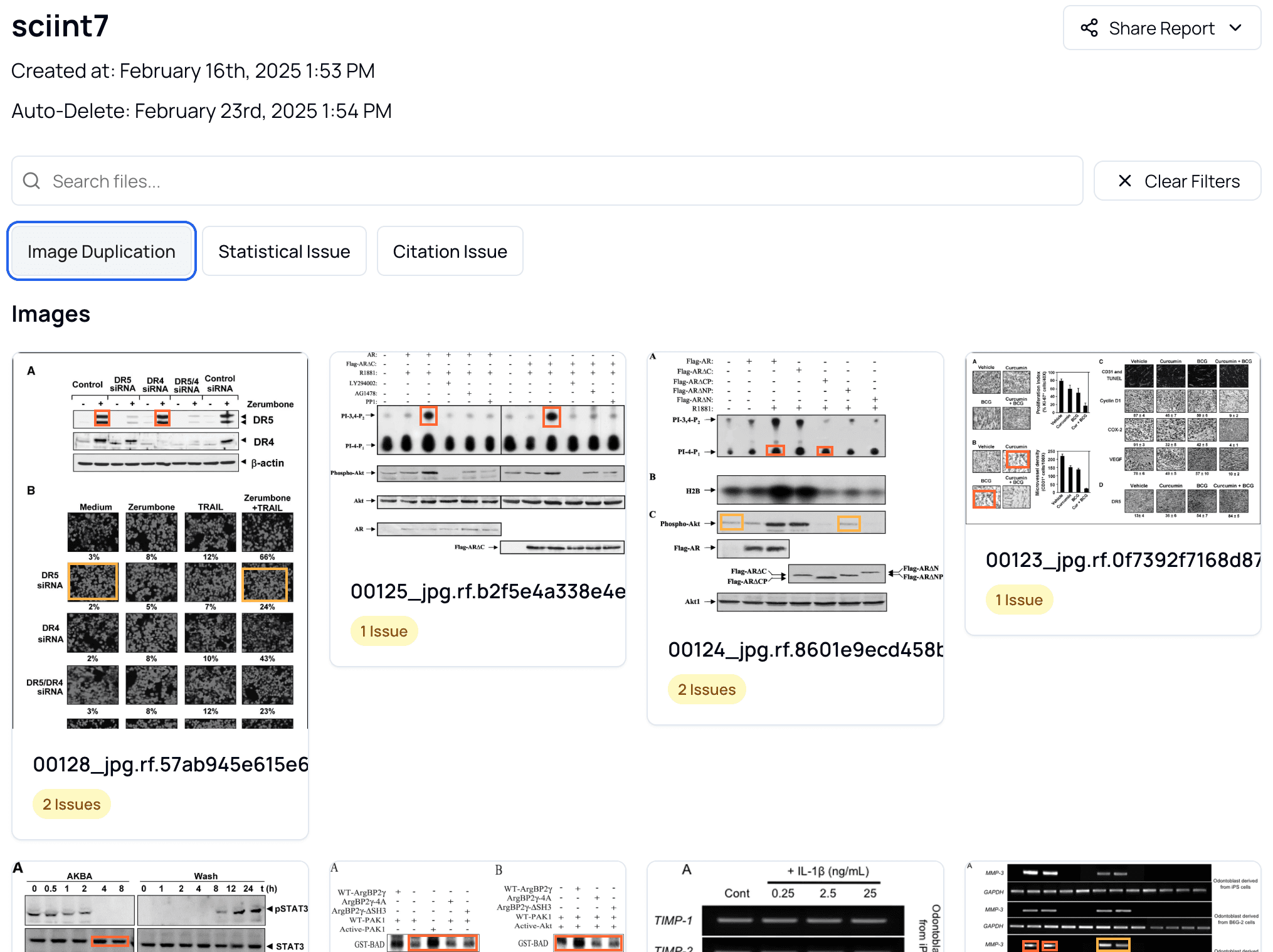 Multiple image analysis overview